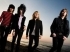 Entrevista a  The Chesterfield Kings