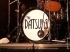 The Datsuns